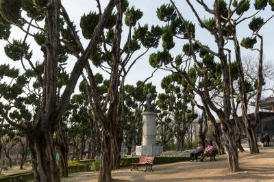 달성공원 가이즈카 향나무와 최제우 동상
