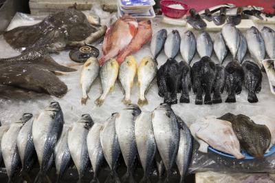 대전중앙시장 생선 가판