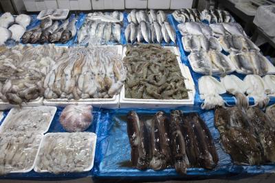 대전중앙시장 생선 가판