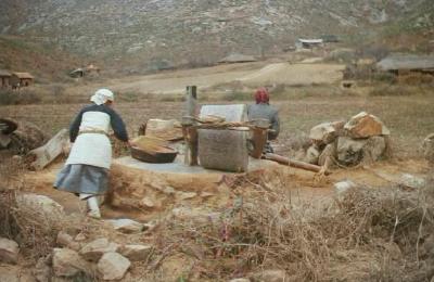 마을 공용 맷돌을 이용하는 주민