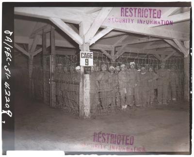 임시 포로수용소