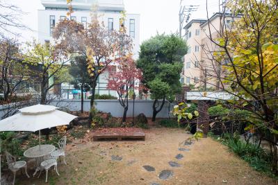 서울 서교동 최규하 가옥 정원
