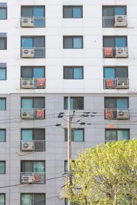 인천 전세 사기 피해 아파트 창문에 설치된 전세 사기 피해 구제방안 촉구 현수막