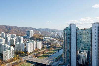 분당신도시 탄천 부근 고층아파트