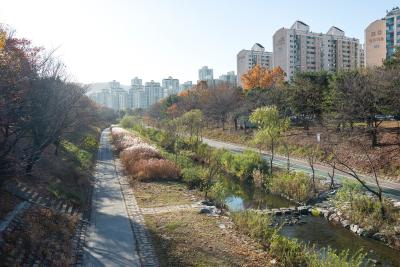분당신도시 중앙공원