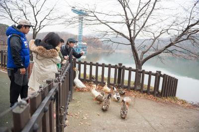 분당신도시 율동공원 시민들