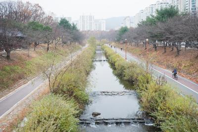 분당신도시 중앙공원의 하천