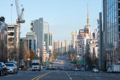 강남구 도산대로