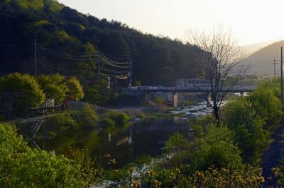 대성리 MT촌 주변 풍경