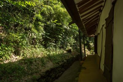 노태우 전 대통령 생가 안채 뒷뜰