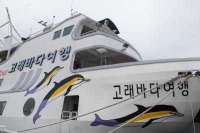 장생포항 고래바다여행 유람선