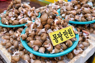 속초 중앙시장 소라