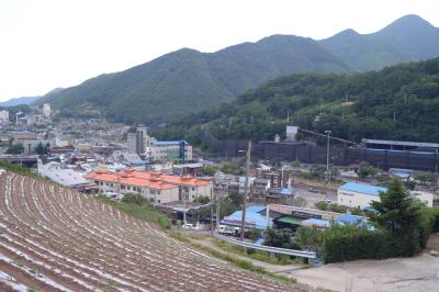 도계읍 탄광촌의 밭농사
