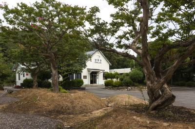 나주 구 남평역 광장의 배롱나무와 남평역 본관