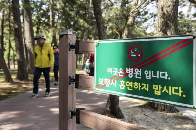 소록도 해안가 데크로드