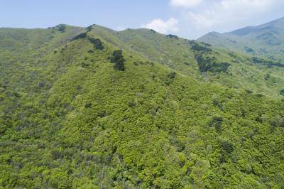 지리산 성삼재 능선 항공사진