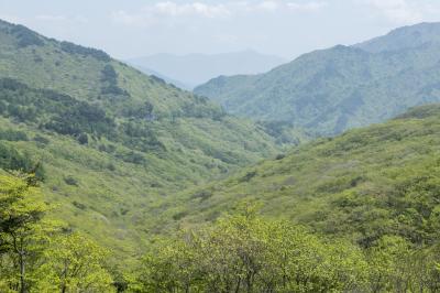 지리산 성삼재 휴게소에서 본 심원계곡