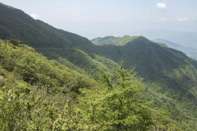 지리산 성삼재 고갯길