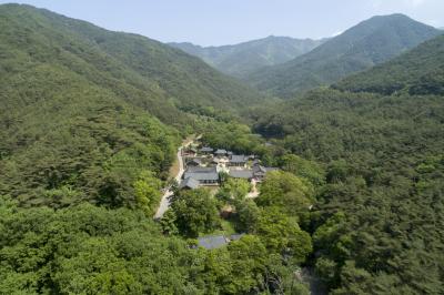 지리산 천은사 항공사진