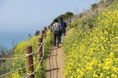 서우봉 서쪽면 둘레길