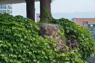 보령경찰서 망루 상부 세부