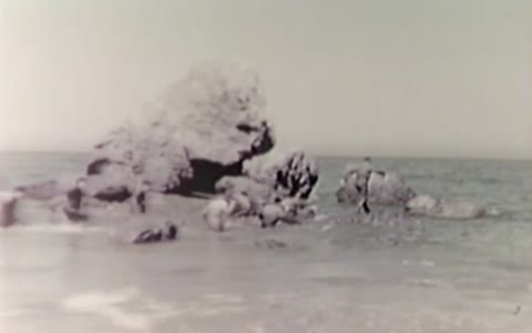 카탈리나 섬 미 전략첩보국 훈련