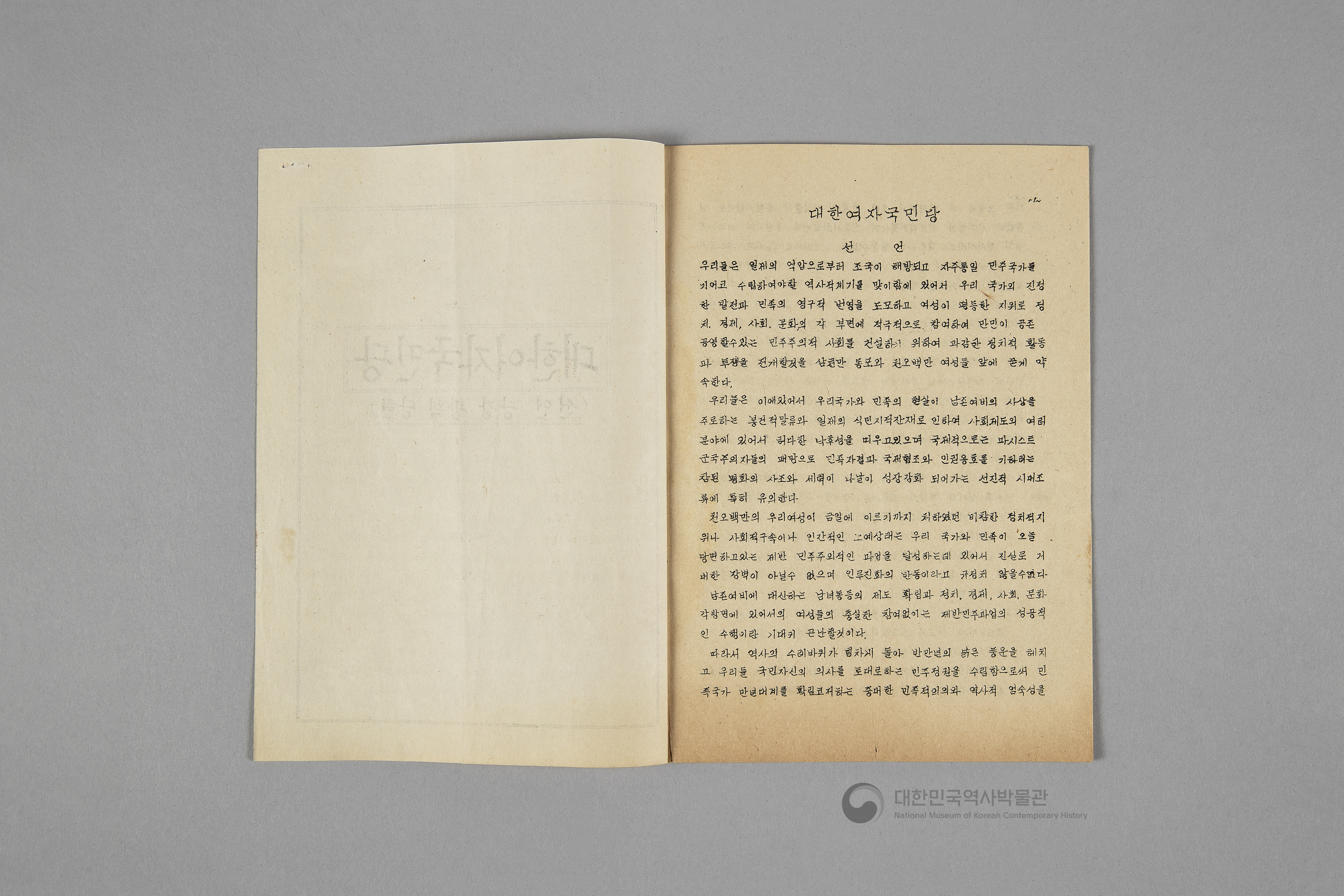 대한여자국민당 선언, 당강, 당책, 당헌