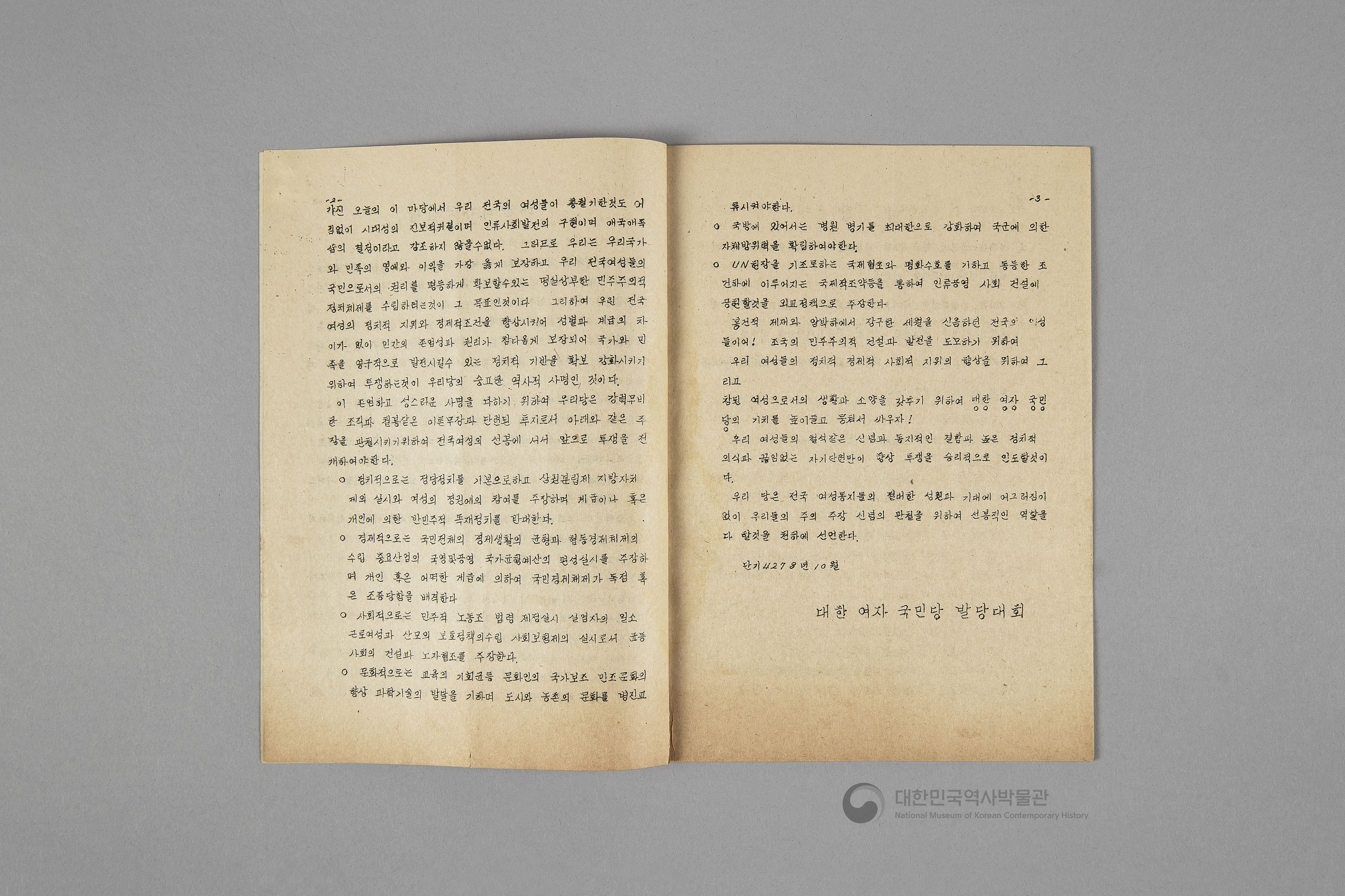 대한여자국민당 선언, 당강, 당책, 당헌