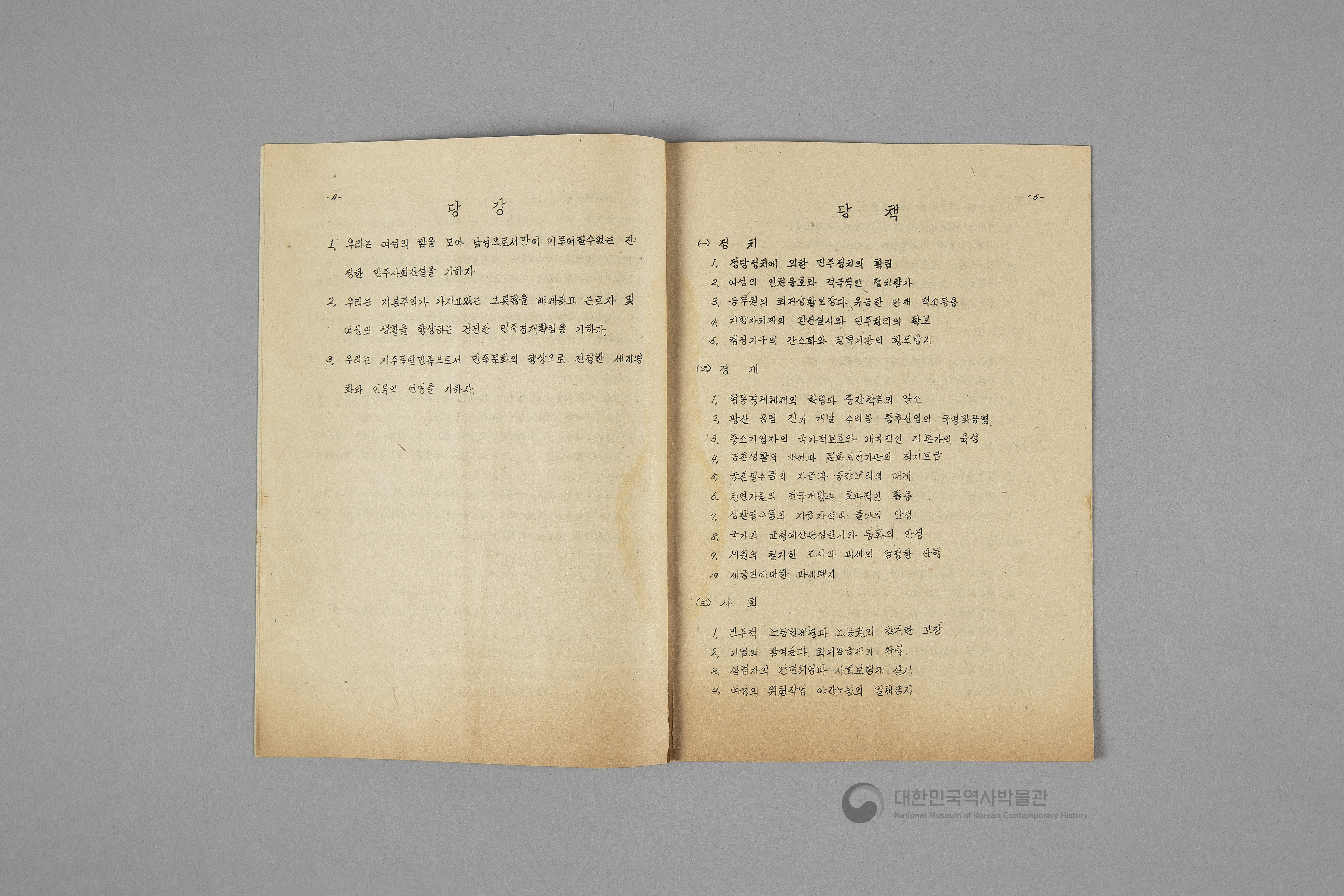 대한여자국민당 선언, 당강, 당책, 당헌