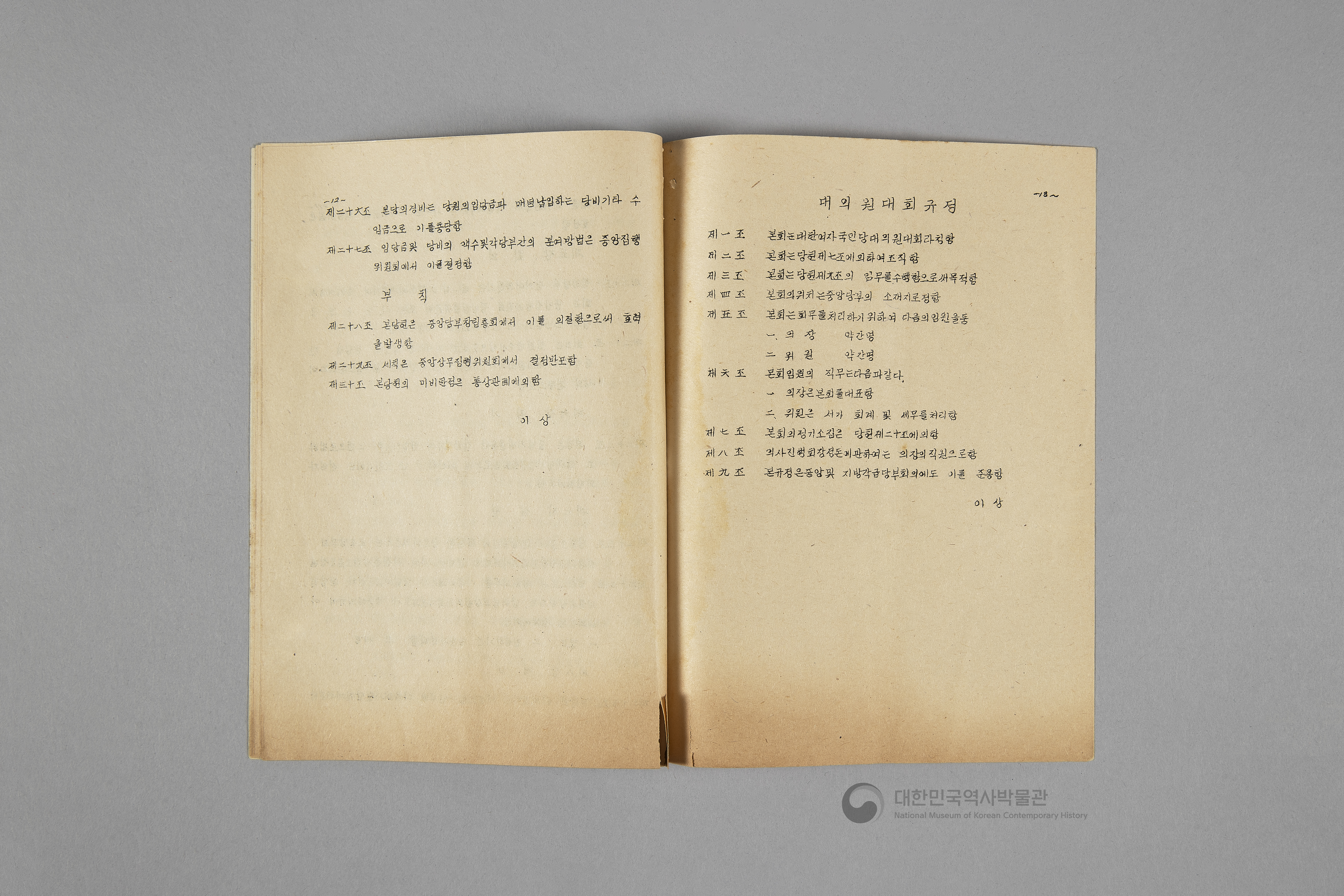 대한여자국민당 선언, 당강, 당책, 당헌