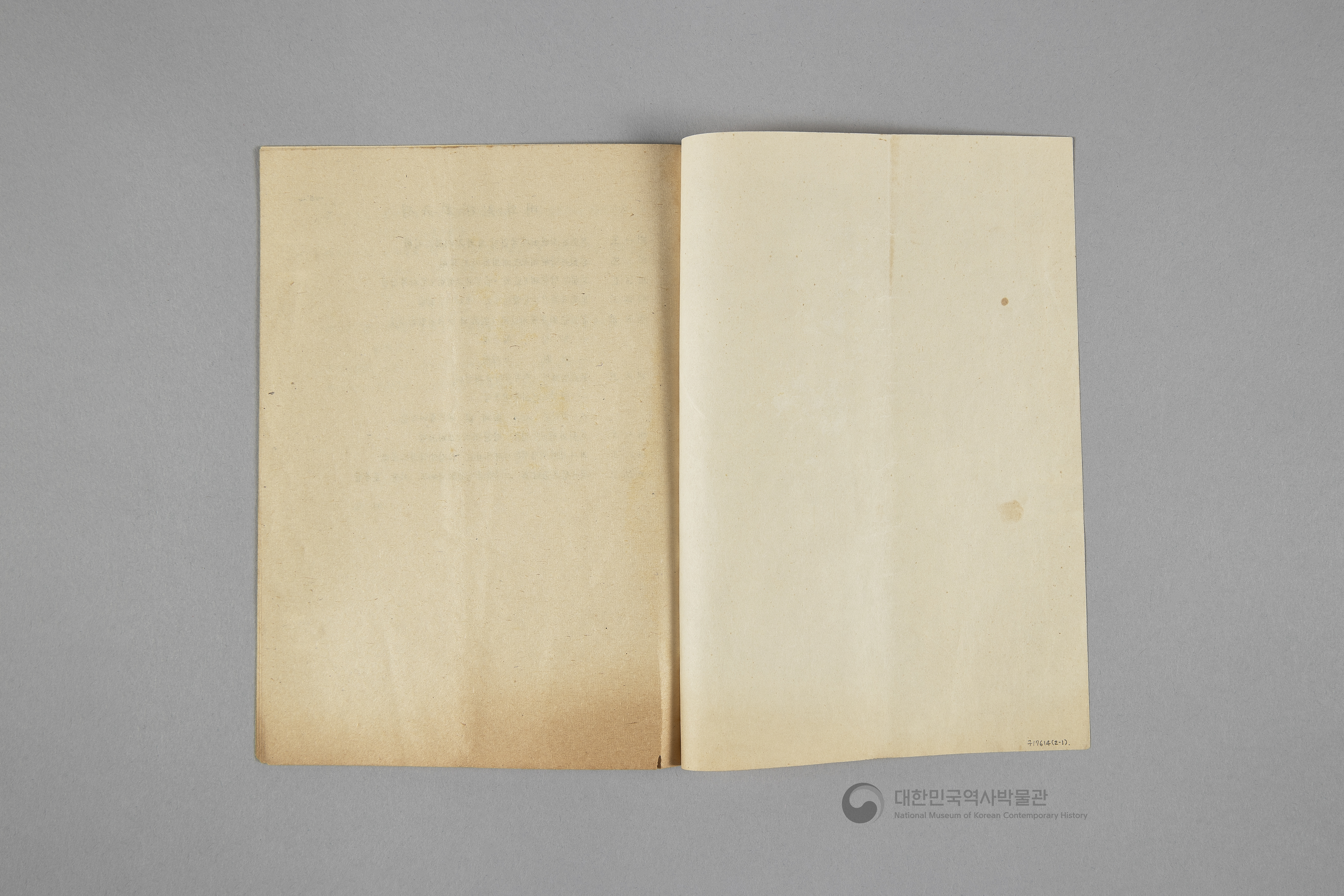 대한여자국민당 선언, 당강, 당책, 당헌