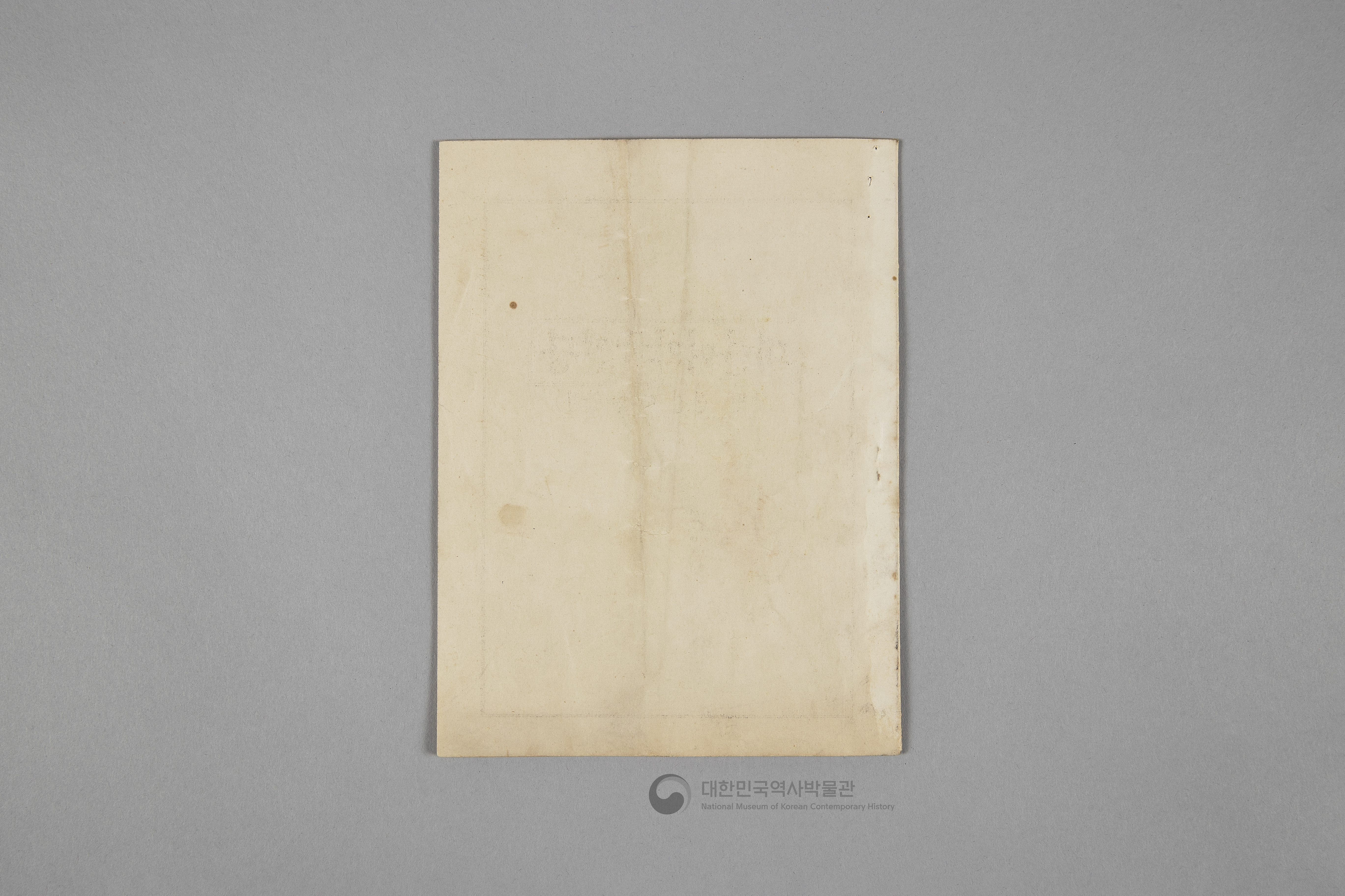 대한여자국민당 선언, 당강, 당책, 당헌