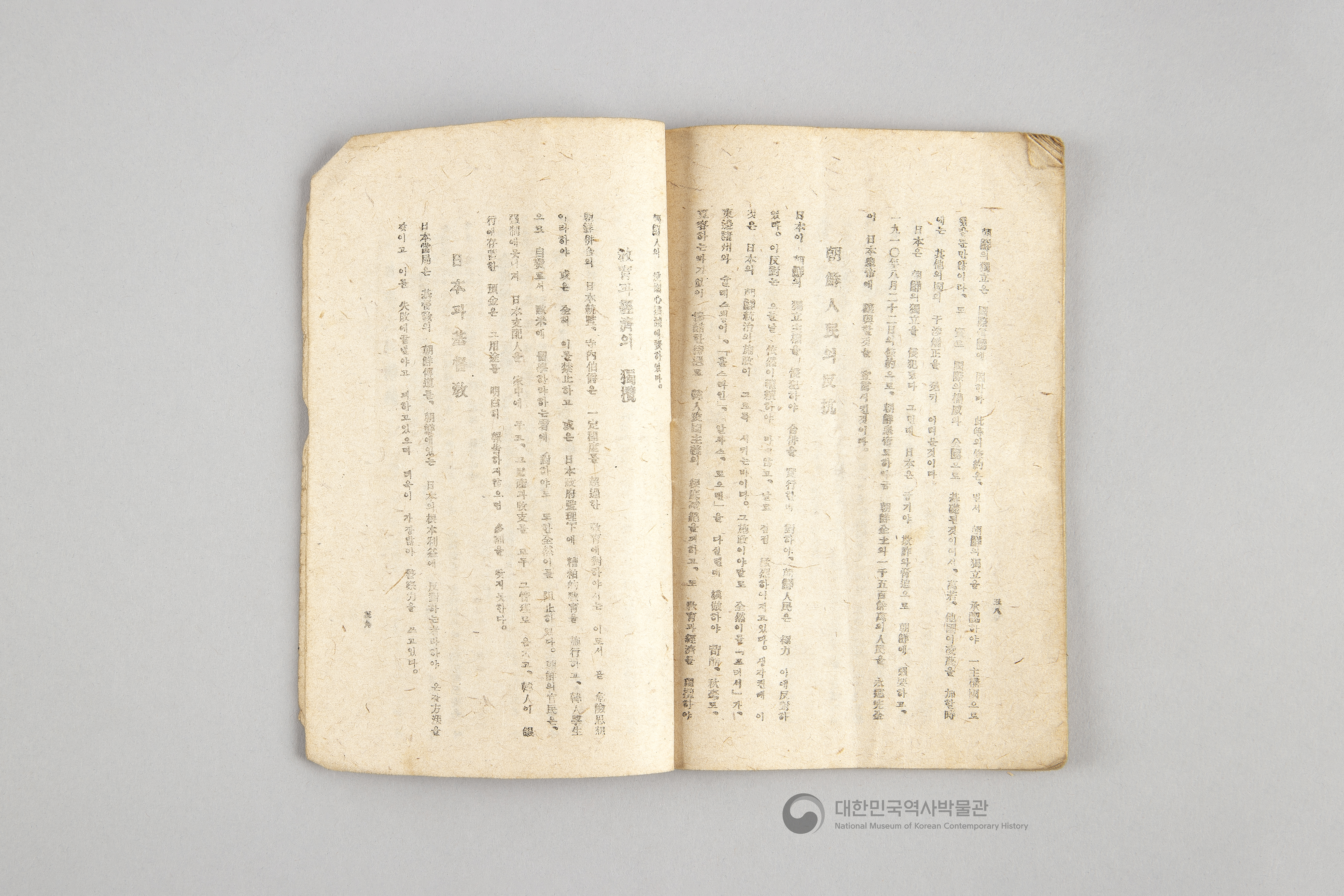 대한민국 임시 정부의 내용