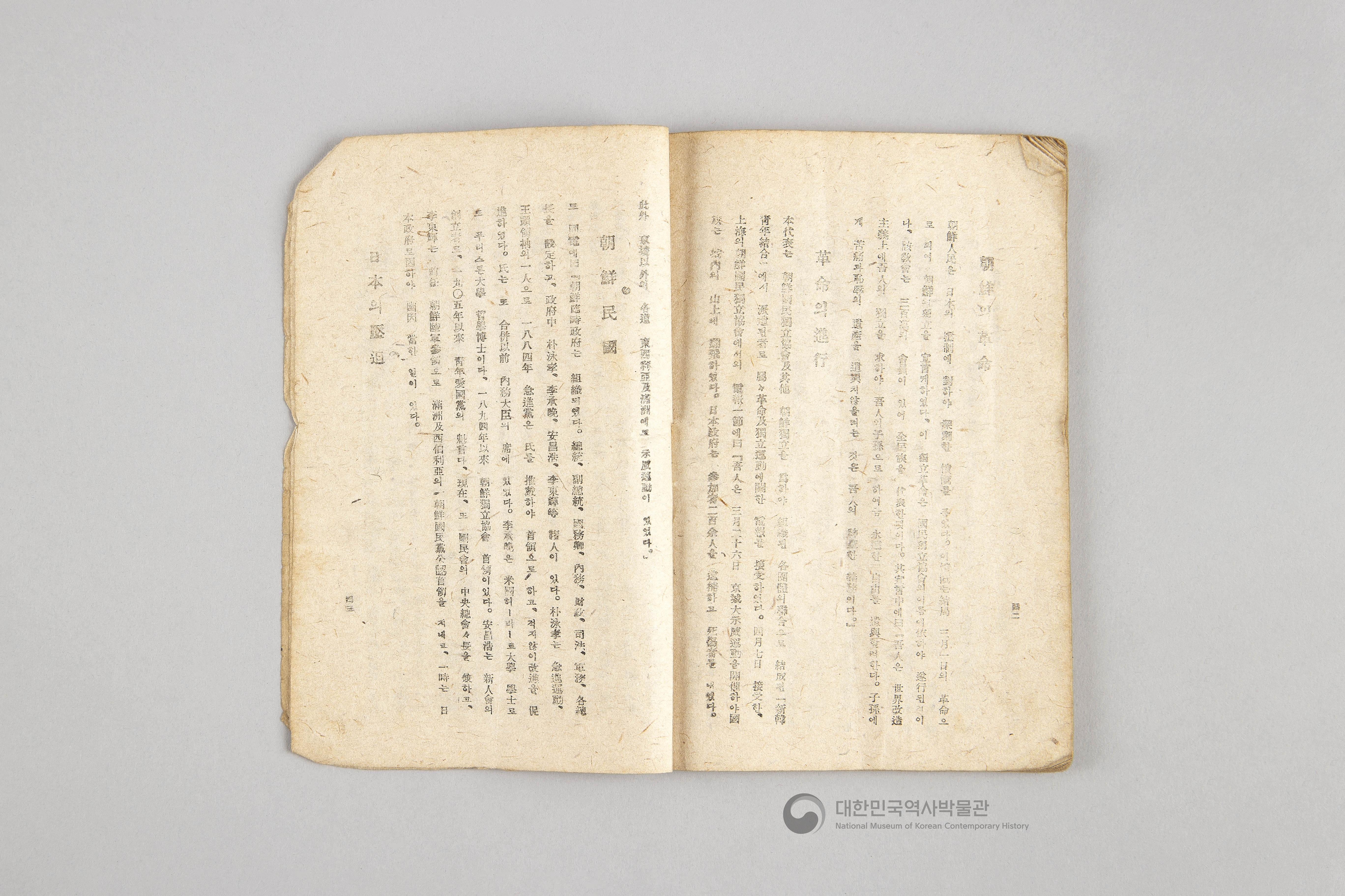 대한민국 임시 정부의 내용