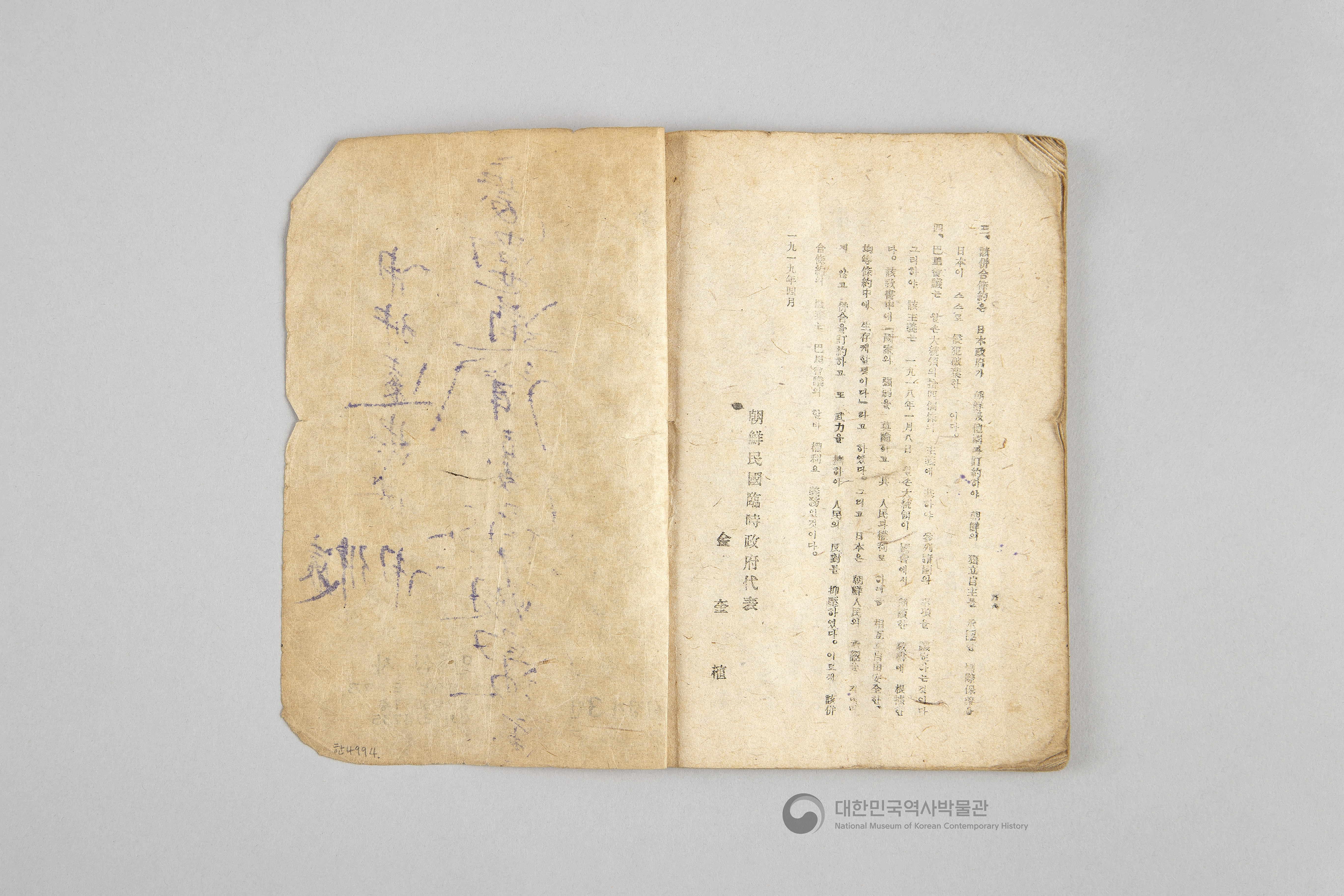 대한민국 임시 정부의 내용