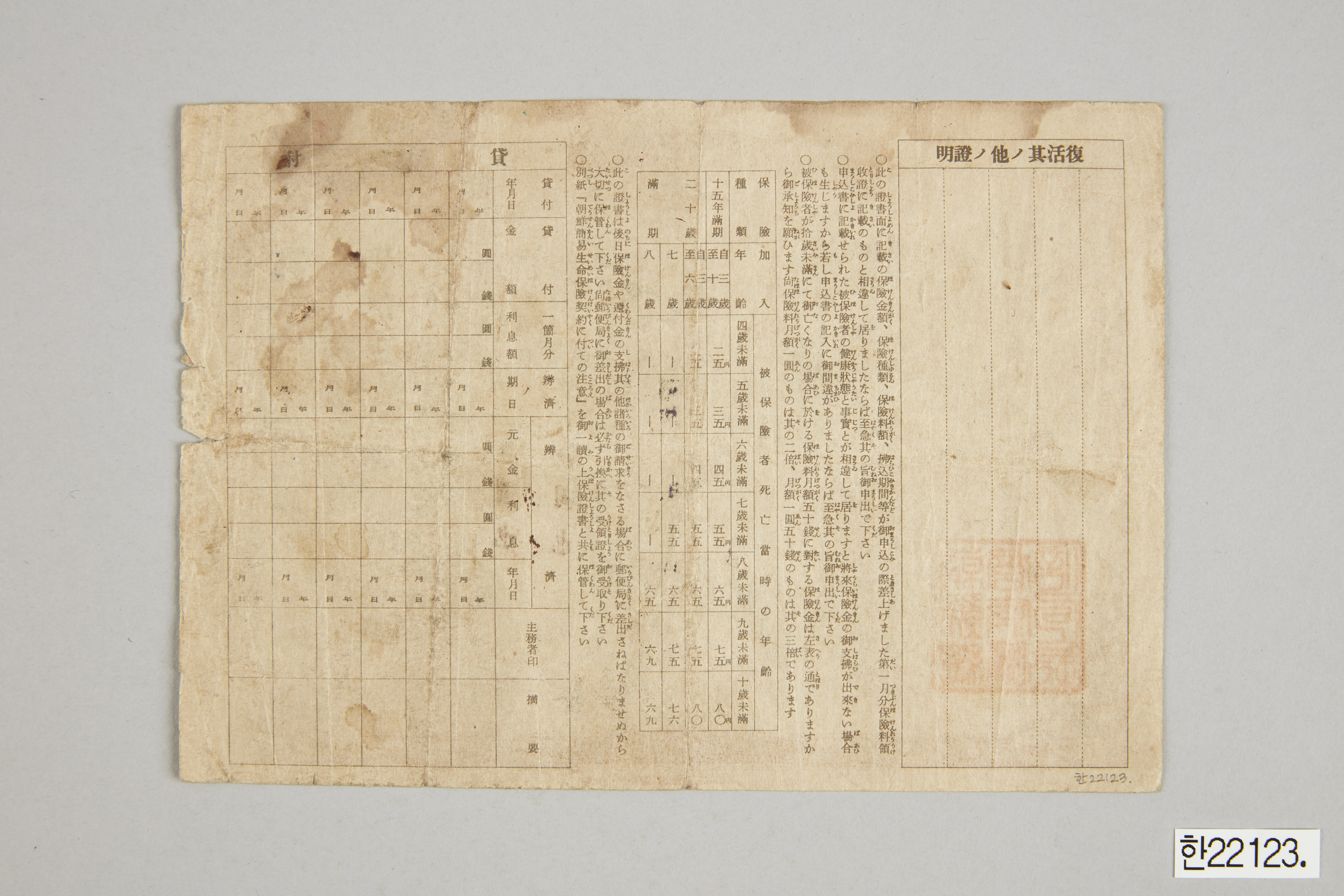 20년 만기 소아보험 조선간이생명보험 보험증서