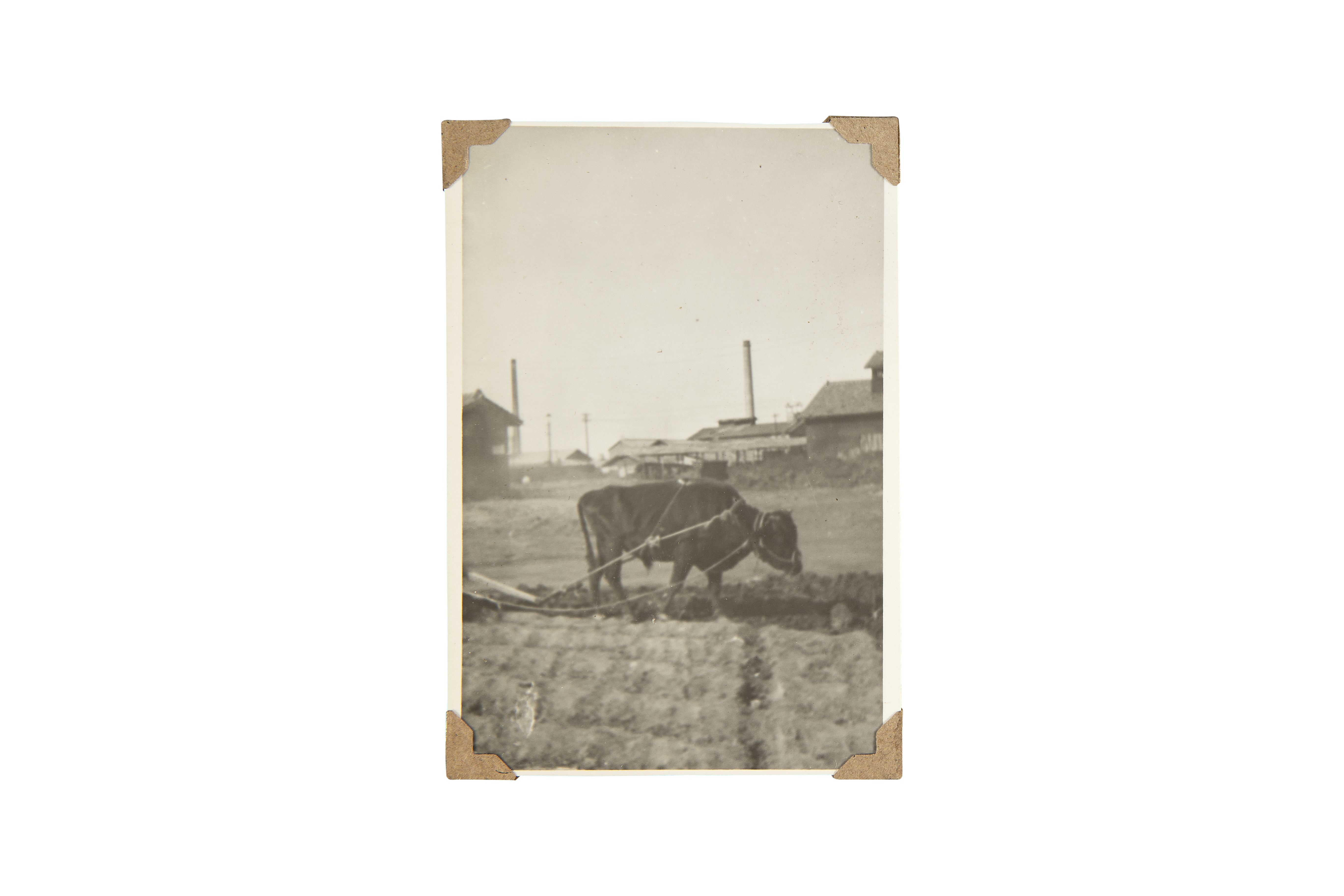 해방 직후 사진앨범