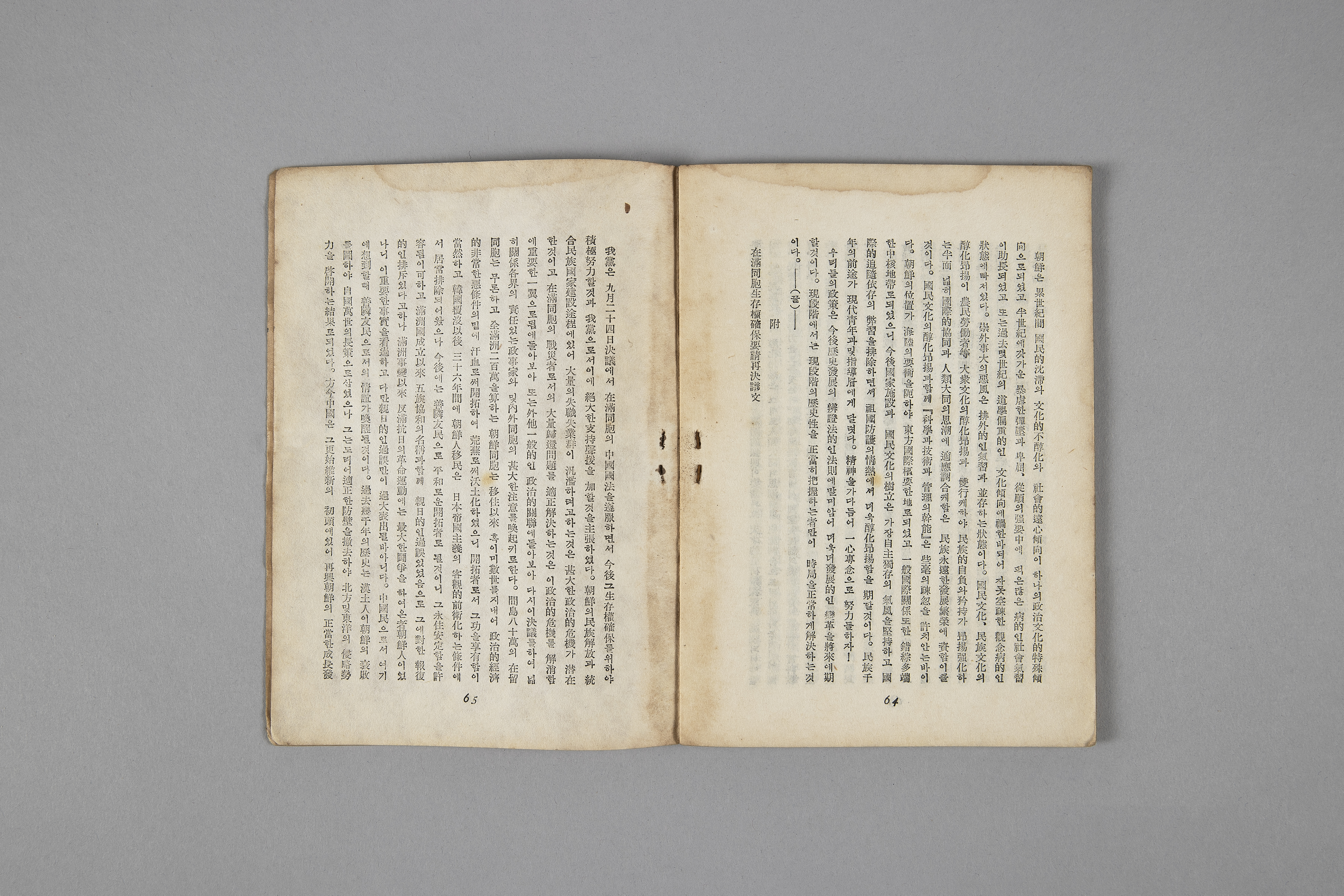 신민족주의와 신민주주의