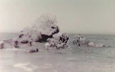 카탈리나 섬 미 전략첩보국 훈련