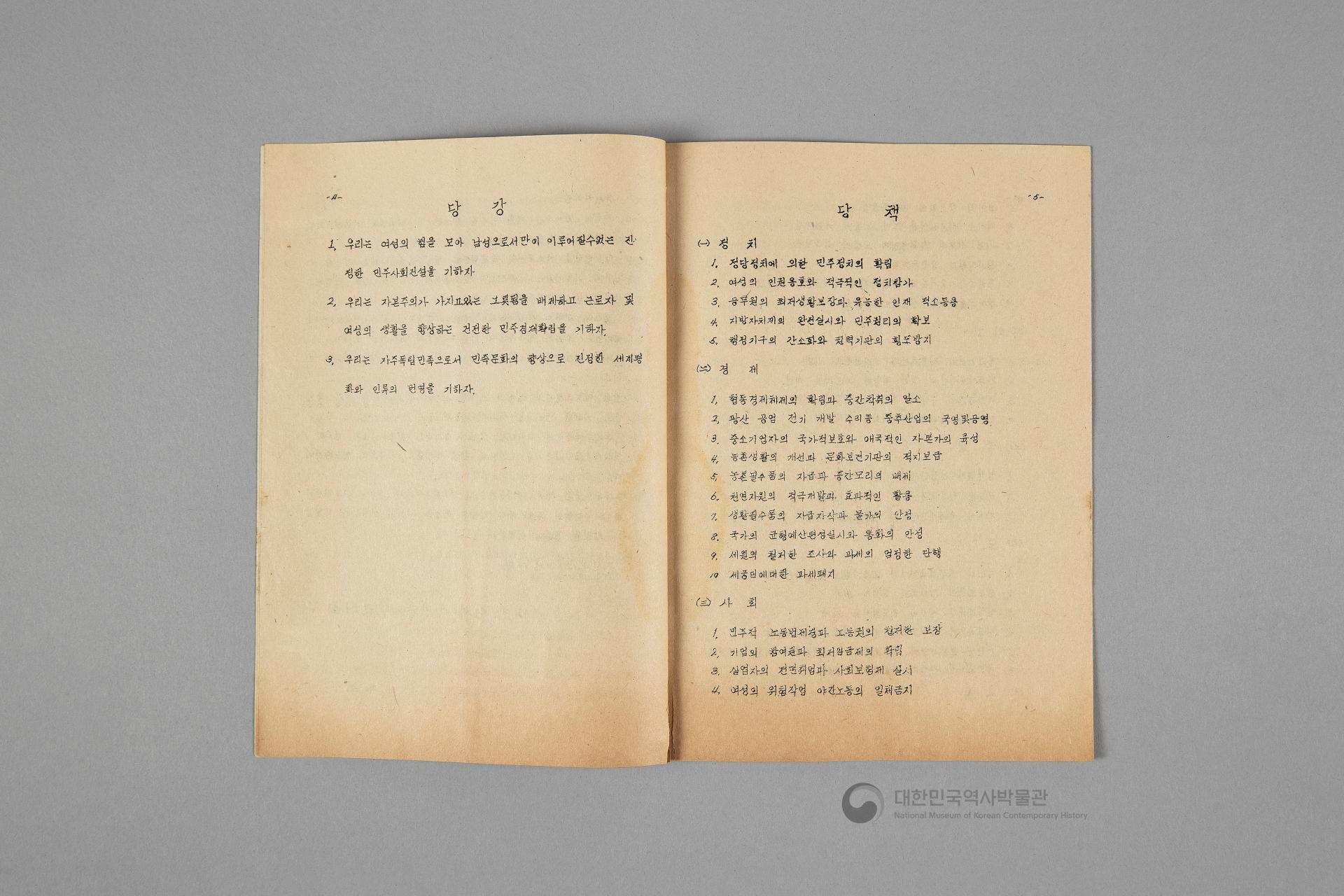 대한여자국민당 선언, 당강, 당책, 당헌