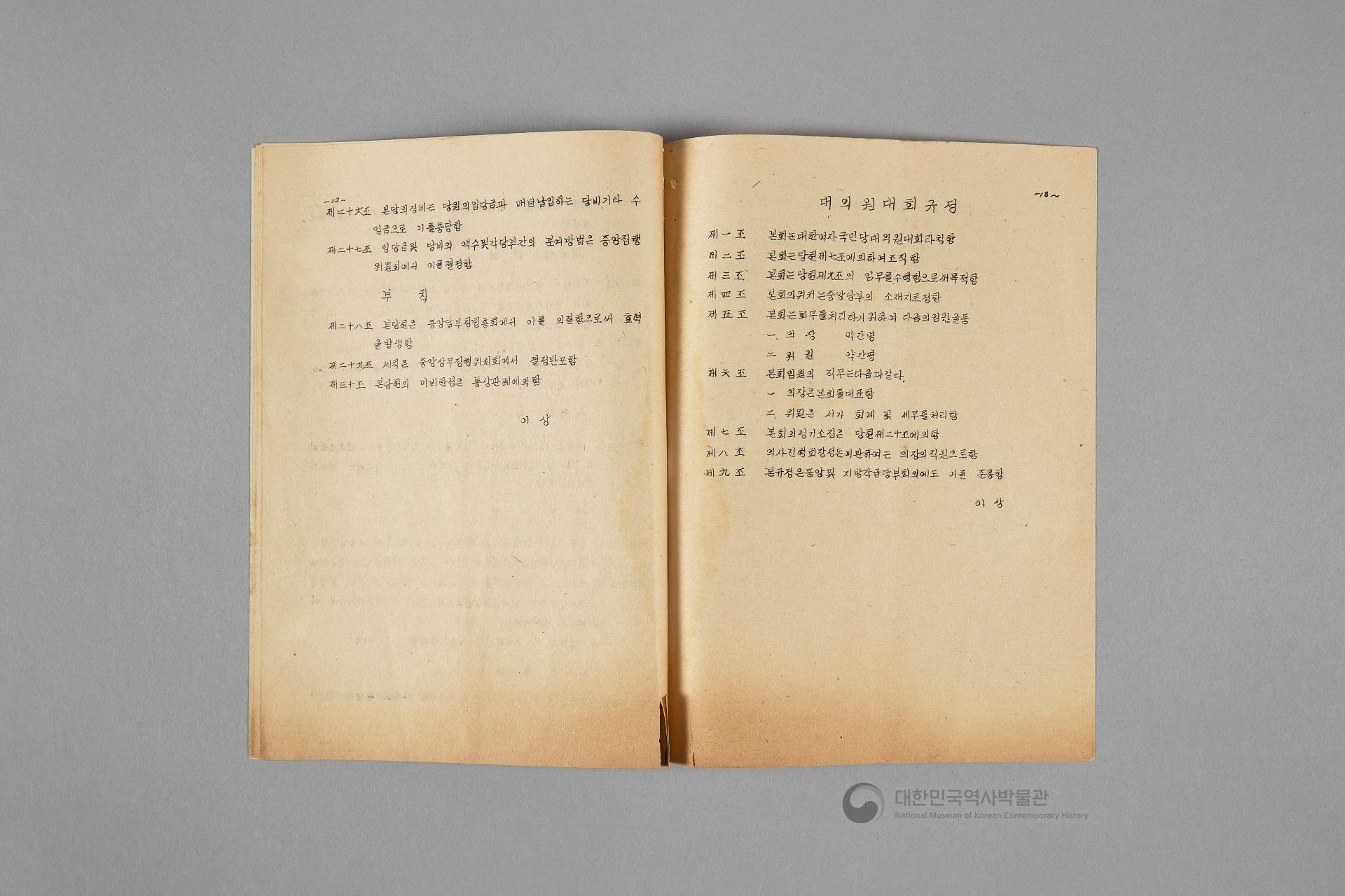 대한여자국민당 선언, 당강, 당책, 당헌