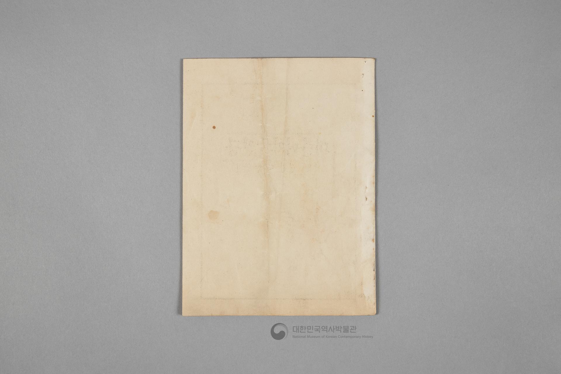 대한여자국민당 선언, 당강, 당책, 당헌