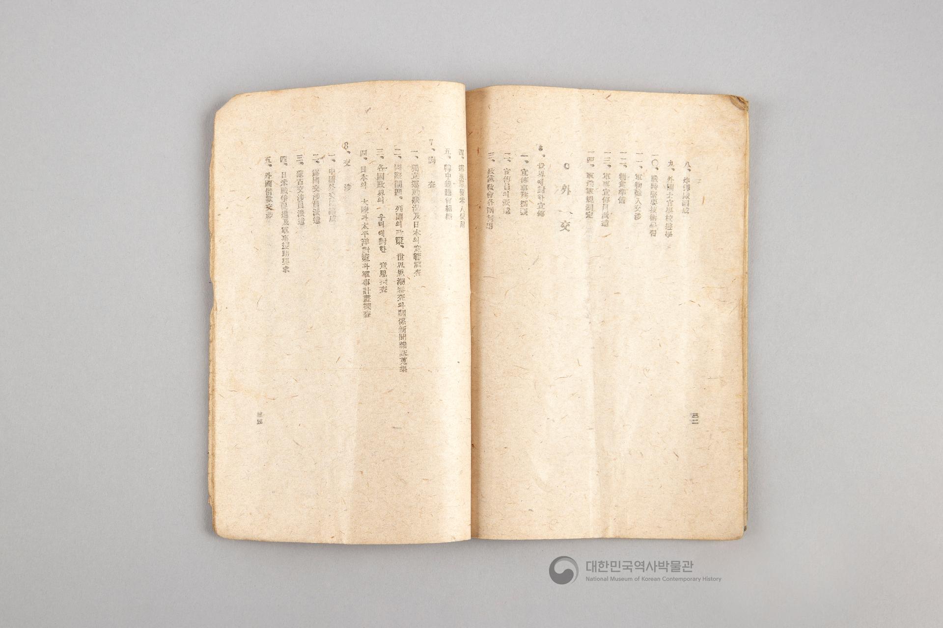 대한민국 임시 정부의 내용