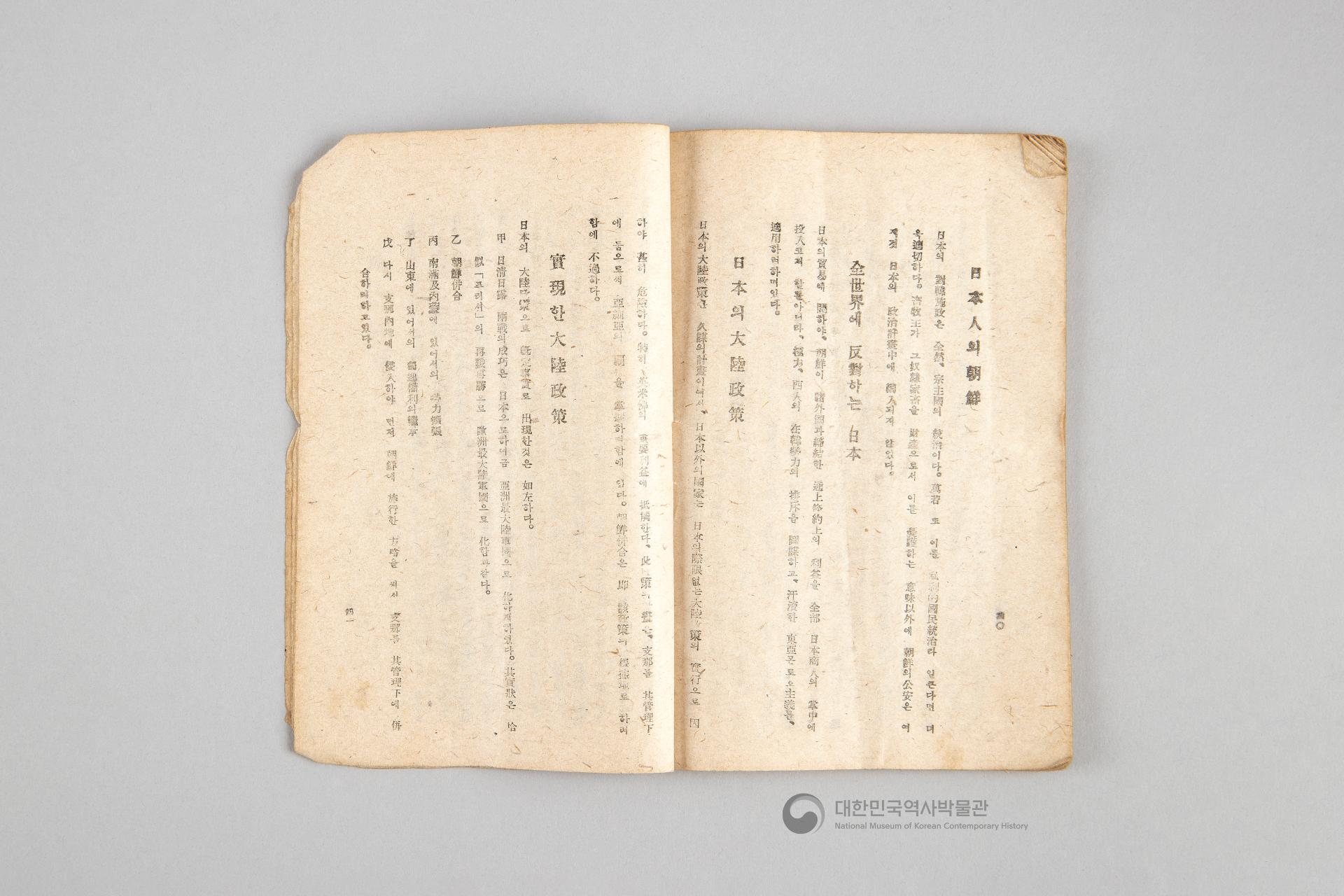 대한민국 임시 정부의 내용