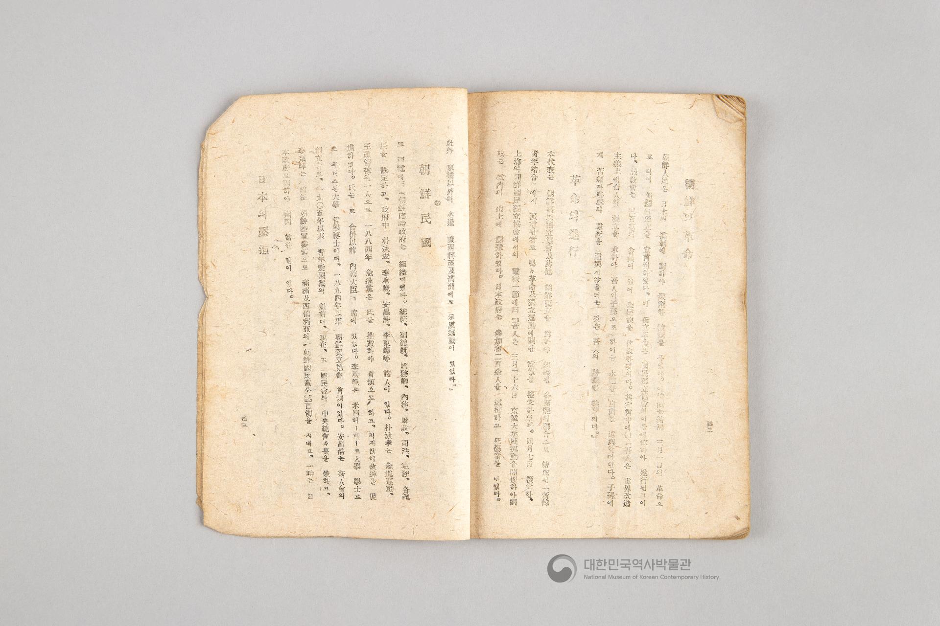 대한민국 임시 정부의 내용