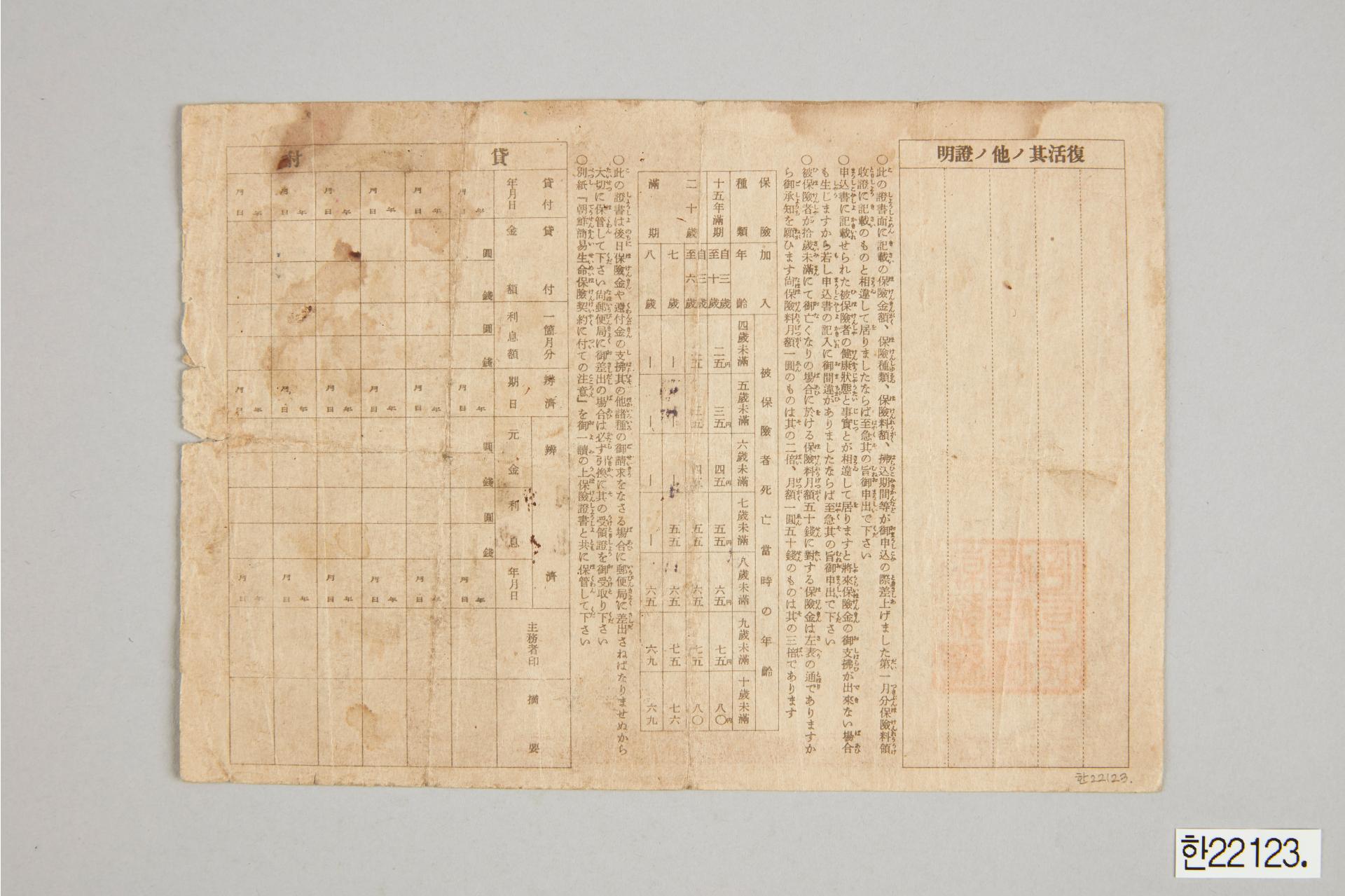 20년 만기 소아보험 조선간이생명보험 보험증서
