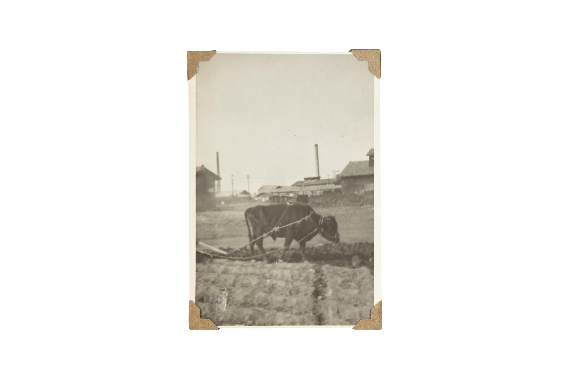 해방 직후 사진앨범