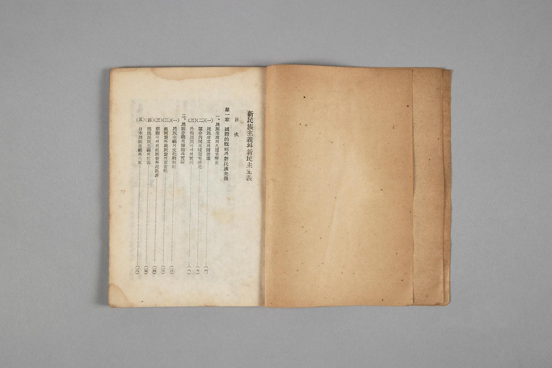 신민족주의와 신민주주의