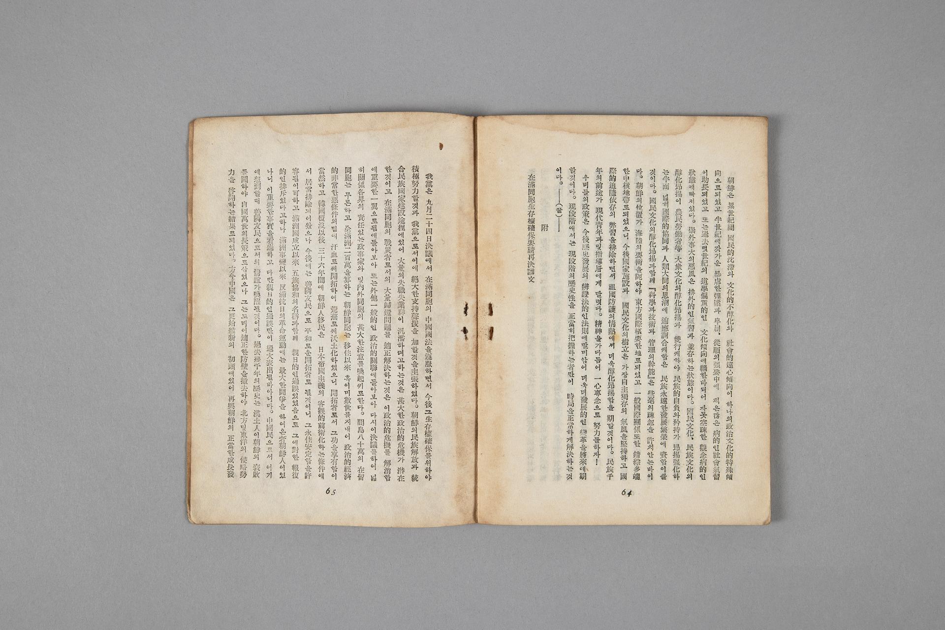 신민족주의와 신민주주의