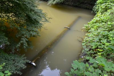 부산 구 성지곡수원지